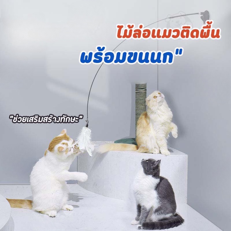 cod-ของเล่นแมว-ของเล่นล่อแมว-cat-toy-ขนนก-แบบปุ่มดูดสุญญากาศ-ไม้ตกแมว-ไม้แหย่แมว-สําหรับแมว