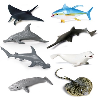 ★พร้อมส่ง ขายดี★โมเดลหัวค้อนจําลอง รูปปลาโลมา ฉลาม ของเล่นเสริมการเรียนรู้ สําหรับเด็กปฐมวัย