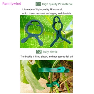 Familywind&gt; คลิปหนีบต้นมะเขือเทศ สําหรับปลูกต้นไม้ ดอกไม้ และสวน