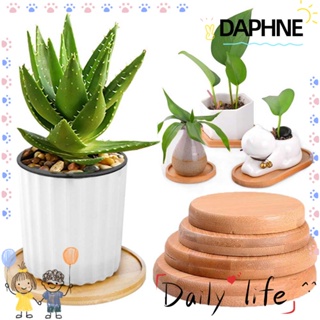 Daphne ถาดไม้ไผ่ทรงสี่เหลี่ยมผืนผ้าสําหรับตกแต่งกระถางต้นไม้
