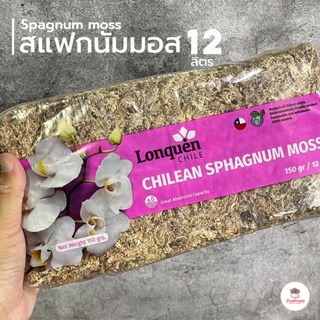 สแฟกนัมมอส Spagnum moss #Chilean 12 ลิตร ( 150 กรัม )