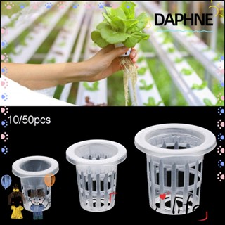 Daphne กระถางต้นไม้ไฮโดรโปนิก ไร้ดิน สําหรับเพาะปลูกตู้ปลา 10 50 ชิ้น