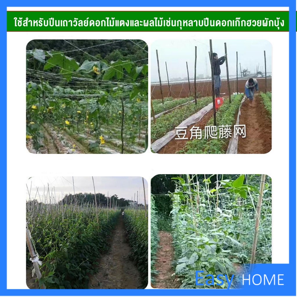 ตาข่ายปลูกพืชผัก-โครงไม้เลื้อย-ค้างปลูกผัก-อวนปลูกผัก-plant-support