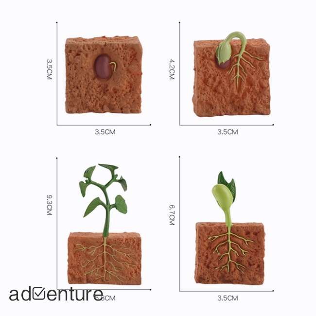 adven-โมเดลฟิกเกอร์วงจรการเจริญเติบโตของพืชจําลอง-เมล็ดพันธุ์ดิน-ของเล่นสําหรับเด็ก-4-ชิ้น