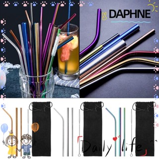 Daphne หลอดดูดเครื่องดื่ม พร้อมแปรงทําความสะอาดโลหะ สําหรับปิเปต แก้ว 10 ชิ้น ต่อแพ็ค