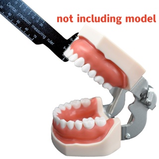 【ddydental】ไม้บรรทัด เครื่องมือทันตกรรม สําหรับถ่ายภาพ