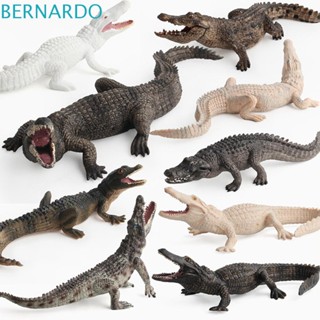 Bernardo โมเดลจระเข้จําลอง ของเล่น ของขวัญ สําหรับตกแต่งบ้าน