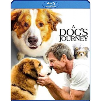 แผ่น-bluray-หนังใหม่-a-dog-s-journey-2019-หมา-เป้าหมาย-และเด็กชายของผม-2-เสียง-eng-ไทย-ซับ-eng-ไทย-หนัง-บลูเรย์