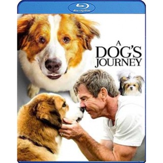 แผ่น Bluray หนังใหม่ A Dog s Journey (2019) หมา เป้าหมาย และเด็กชายของผม 2 (เสียง Eng/ไทย | ซับ Eng/ ไทย) หนัง บลูเรย์