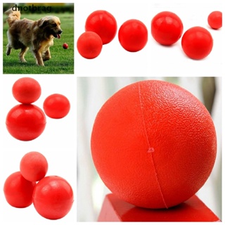 [dnotbrag] ลูกบอลยางแข็ง ทําลายได้ ของเล่นกัด สําหรับฝึกสัตว์เลี้ยง สุนัข แมว [พร้อมส่ง]