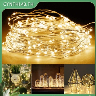 1เมตร5เมตร10เมตร LED แบตเตอรี่มินิ LED ลวดทองแดง S Tring นางฟ้าไฟคริสต์มาสงานแต่งงานความต้องการ Cynthia