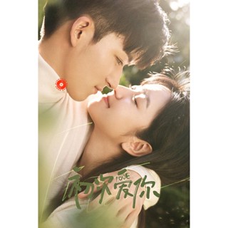 DVD วุ่นนัก โจทย์รักแรก (2022) First Love (24 ตอนจบ) (เสียง ไทย | ซับ ไม่มี) DVD