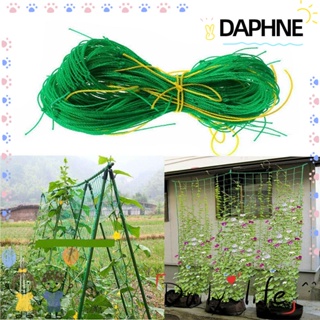 Daphne ตาข่ายเจริญเติบโตสําหรับปีนเขาดอกไม้ผักผลไม้รั้วถั่วเถาวัลย์คุณภาพสูง