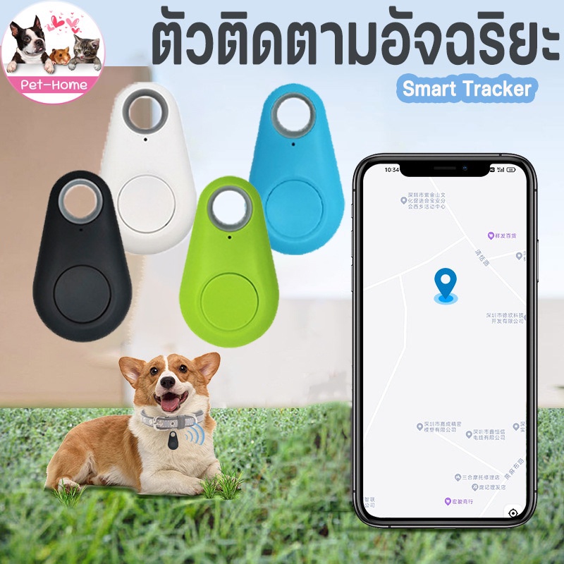 cod-เครื่องติดตาม-เครื่องติดตามสัตว์เลี้ยง-gps-ติดตามผ่าน-smartphone-มีถ่านให้ฟรี-เครื่องติดตามแมว-ของหายในบ้าน