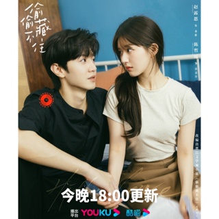 DVD แอบรักให้เธอรู้ (2023) Hidden Love [25 ตอนจบ] (เสียง ไทย/จีน| ซับ ไทย/อังกฤษ/จีน) DVD