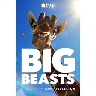 DVD ดีวีดี Big Beasts (2023) 10 ตอน (ตอนที่ 3 ไม่มีซับ ไทย) (เสียง อังกฤษ | ซับ ไทย/อังกฤษ) DVD ดีวีดี