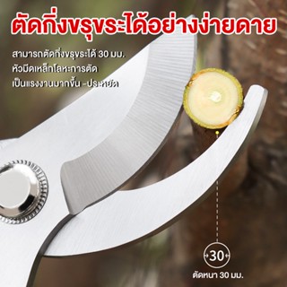 ✂️ เครื่องมือทำสวน กรรไกรตัดกิ่งไม้สูง Sk5 ตัดกิ่งขนาด 40mm แต่งสวน กรรไกรตัดกิ่ง