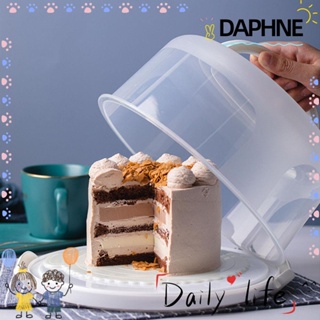 Daphne กล่องบรรจุเค้กผักผลไม้ 6/8/10 นิ้วพร้อมฝาปิด