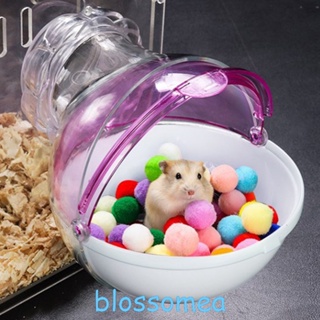 Blossomea ห้องน้ําหนูแฮมสเตอร์ หนูแฮมสเตอร์ ห้องน้ําหนูเจอร์บิลล์ กล่องกรงสัตว์เลี้ยง ห้องอาบน้ําทราย ของเล่นอะคริลิค บ้านสัตว์เลี้ยง ขนาดเล็ก อุปกรณ์สัตว์เลี้ยง