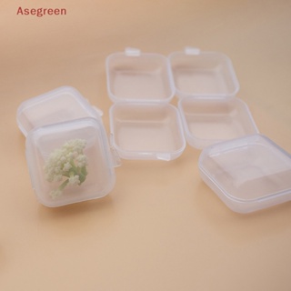 [Asegreen] กล่องพลาสติกใส ขนาดเล็ก แบบพกพา สําหรับเก็บเครื่องประดับ 10 ชิ้น
