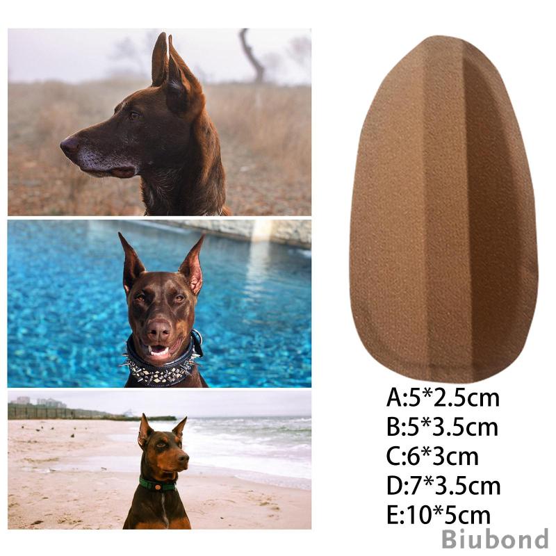 biubond-สติกเกอร์ติดหู-สําหรับสัตว์เลี้ยง-สุนัข-doberman-pinscher-samoyed