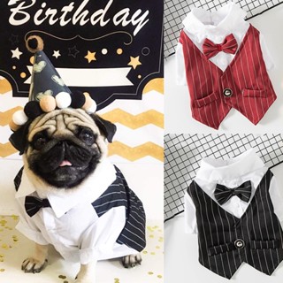 เสื้อเชิ้ตสัตว์เลี้ยง ชุดสูท ชุดพ่อบ้าน ฤดูร้อนบางทันสมัยระบายอากาศสบาย Pet Suit