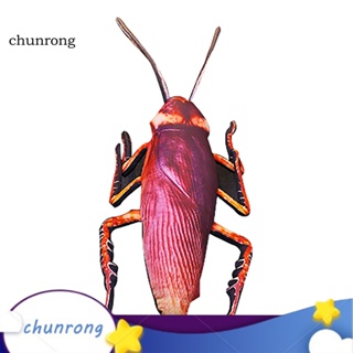 Chunrong ตุ๊กตาแมลงสาบจําลอง 3D ขนาด 22 นิ้ว ของเล่นสําหรับเด็ก
