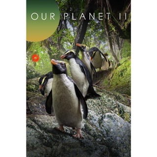 DVD (อ่านรายละเอียดก่อนสั่งซื้อ) Our Planet (2023) Season 2 (เสียง อังกฤษ | ซับ ไทย/อังกฤษ) DVD