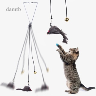 Dtb ของเล่นกรงหนูอัตโนมัติ แบบแขวน สําหรับสัตว์เลี้ยง แมว