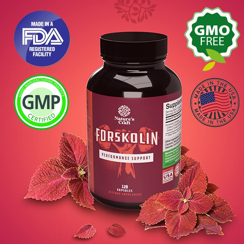 สารสกัดจาก-forskolin-บริสุทธิ์สำหรับอาหารเสริมลดน้ำหนักสารต้านอนุมูลอิสระที่มีประสิทธิภาพ