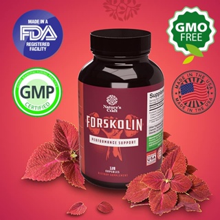 สารสกัดจาก Forskolin บริสุทธิ์สำหรับอาหารเสริมลดน้ำหนักสารต้านอนุมูลอิสระที่มีประสิทธิภาพ