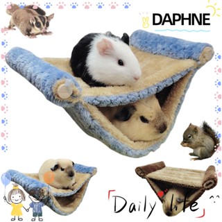 Daphne เปลไม้แขวน สําหรับสัตว์เลี้ยง กระรอก