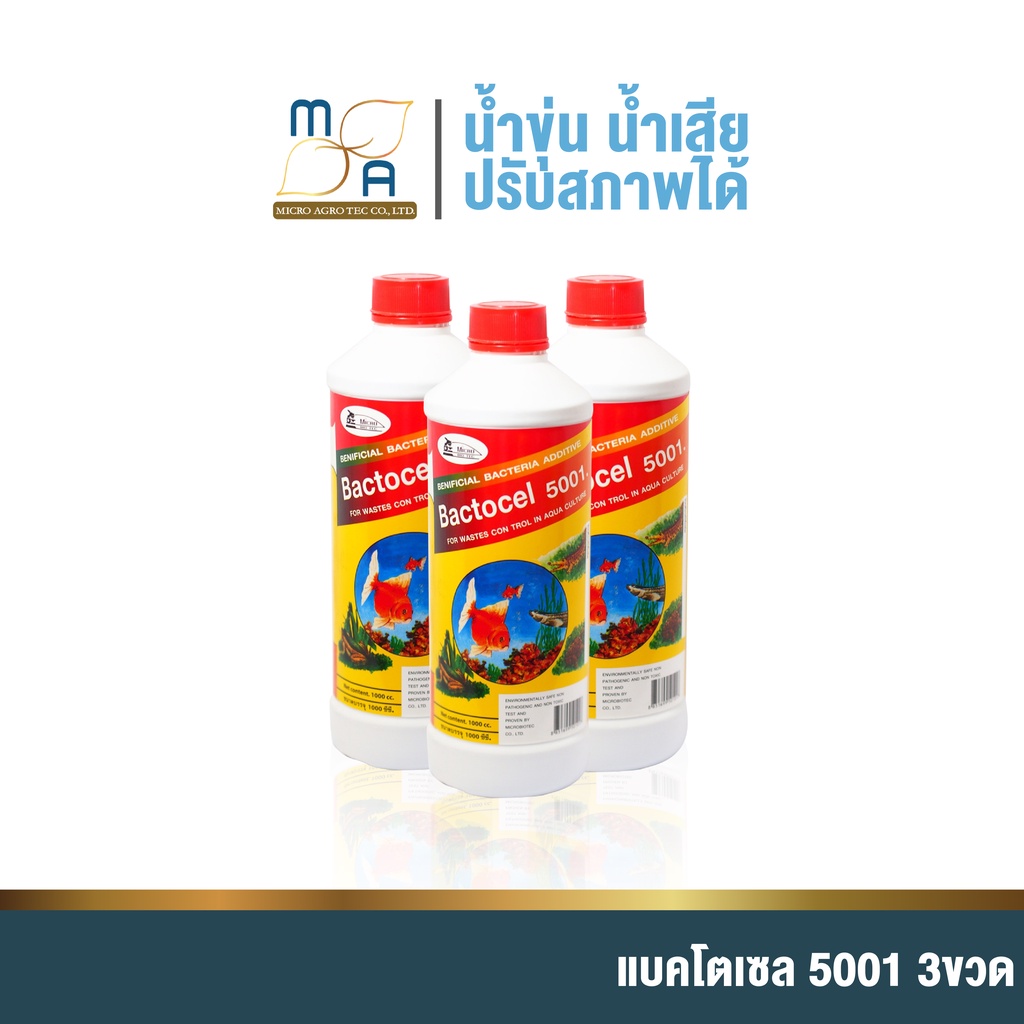 3-ชิ้น-จุลินทรีย์รักษาสภาพน้ำในบ่อปลา-แบคโตเซล-5001-bactocel-5001-รักษาน้ำในบ่อ-น้ำใส-น้ำมีกลิ่นเหม็น-ตู้ปลา-บ่อปลา-บ่อก