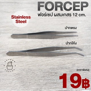 🌷Forcep ปากคีบ ฟอเซป ปลูกแคคตัส ผสมเกสร คีบต้นอ่อน สแตนเลส ขนาดพอดีมือ 12 cm.🌷