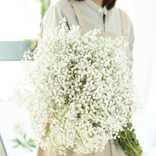 ช่อดอกยิปโซประดิษฐ์ 108 ดอก ขนาด 52 ซม. สีขาว สําหรับตกแต่งบ้าน สวน งานแต่งงาน วันเกิด 5 ชิ้น