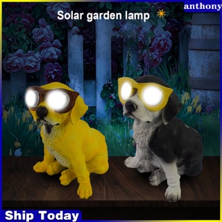 Anthony ฟิกเกอร์เรซิ่น รูปปั้นสุนัขพลังงานแสงอาทิตย์ สําหรับตกแต่งบ้าน สวน กลางแจ้ง