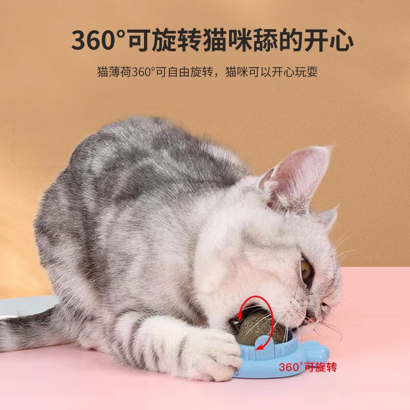 catnip-ball-ของเล่นแมว-ลูกบอลฟันกราม