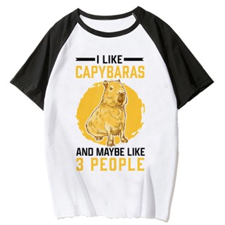 Capybara เสื้อยืด พิมพ์ลายอนิเมะ 2000s สไตล์ฮาราจูกุ สําหรับผู้หญิง