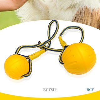 Bcfsip ลูกบอลยาง EVA แบบยืดหยุ่น ทนต่อการกัด สําหรับฝึกสัตว์เลี้ยง สุนัข