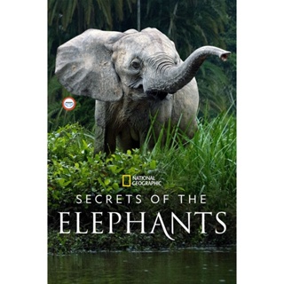 ใหม่! ดีวีดีหนัง Secrets of the Elephants (2023) 4 ตอน (เสียง อังกฤษ | ซับ ไทย(ฝัง)) DVD หนังใหม่