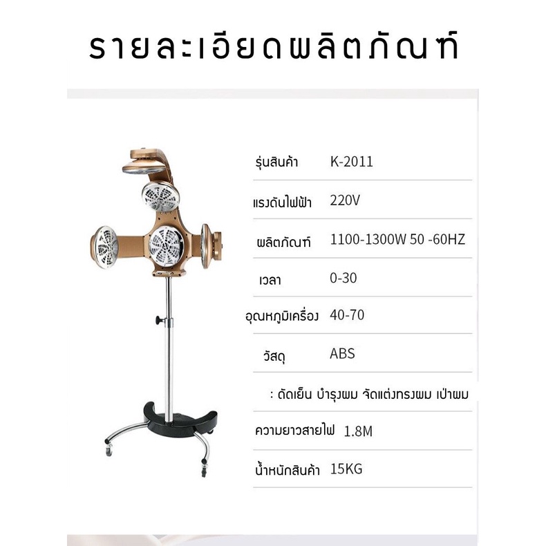 เครื่องอบผม-เครื่องทำความร้อน-ควบคุมอุณหภูมิ-ไดร์เป่าผม-professional-เครื่องอบผม-เครื่องทำผม-กำลังไฟสูงสุด-1100-1300-w