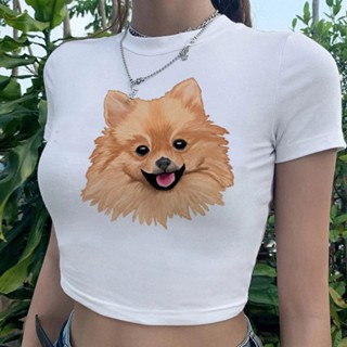 เสื้อครอปท็อป ลายกราฟฟิค Pomeranian trashy fairycore fairy 90s แฟชั่นฮาราจูกุ สไตล์เกาหลี สําหรับผู้หญิง