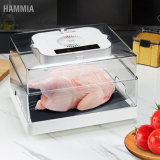 HAMMIA ถาดละลายน้ำแข็งละลายอาหารแผ่นตะกร้าซักผ้ากระดานไล่ฝ้าสำหรับทำอาหารในครัว