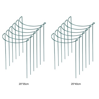 โครงไม้เลื้อยไฮเดรนเยีย โลหะ ทรงครึ่งวงกลม 6 ชิ้น สําหรับปลูกต้นไม้ มะเขือเทศ 6 ชิ้น