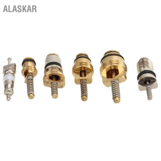 ALASKAR 41Pcs AC Master Valve Core ชุดพร้อมเครื่องมือถอด R12 R134a แกนวาล์วทำความเย็นยานยนต์สำหรับรถยนต์ส่วนใหญ่