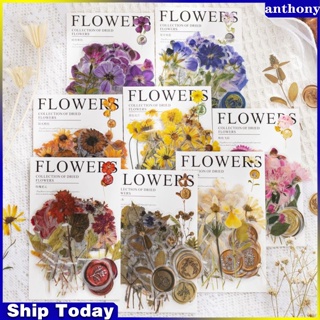 Anthony ชุดสติกเกอร์ธีมดอกไม้กด (320 ชิ้น) สติกเกอร์ดอกไม้แห้ง สติกเกอร์พฤกษศาสตร์ ดอกไม้