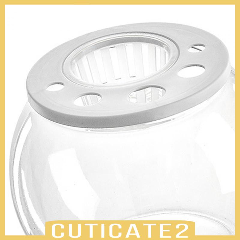 cuticate2-ชามปลา-แบบรูกลวง-diy-สําหรับตู้ปลา-หอพัก-ห้องนอน-คาเฟ่-ร้านอาหาร