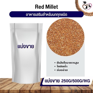 สินค้า Red Millet มิลเล็ตแดง อาหารนก กระต่าย หนู กระต่าย กระรอก ชูก้า และสัตว์ฟันแทะ (แบ่งขาย 250G / 500G / 1KG)