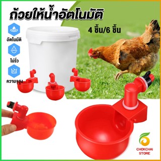 Chokchaistore ถ้วยให้น้ำอัตโนมัติ สำหรับไก่ 4 ชิ้น 6 ชิ้น Automatic drinker