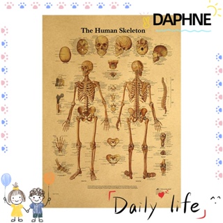 Daphne โปสเตอร์กระดาษคราฟท์รูปโครงกระดูกมนุษย์ 42X30 ซม. สําหรับตกแต่งผนังบ้าน